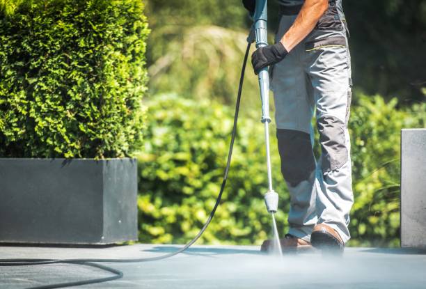 Best Driveway Pressure Washing  in North Hobbs, NM